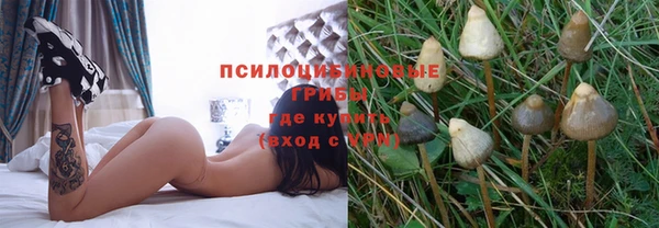 альфа пвп Корсаков