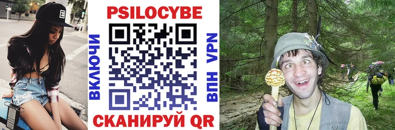 Купить  Лахденпохья  Галлюциногенные грибы Psilocybine cubensis 