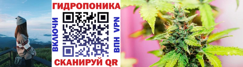 Конопля Ganja Лахденпохья
