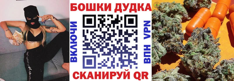 Купить закладки  Лахденпохья  Конопля план 